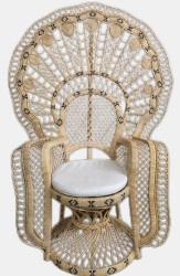 Peacock Chair