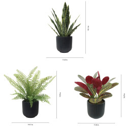 IMG 2453 1775041099 Artificial Faux Plant Trio